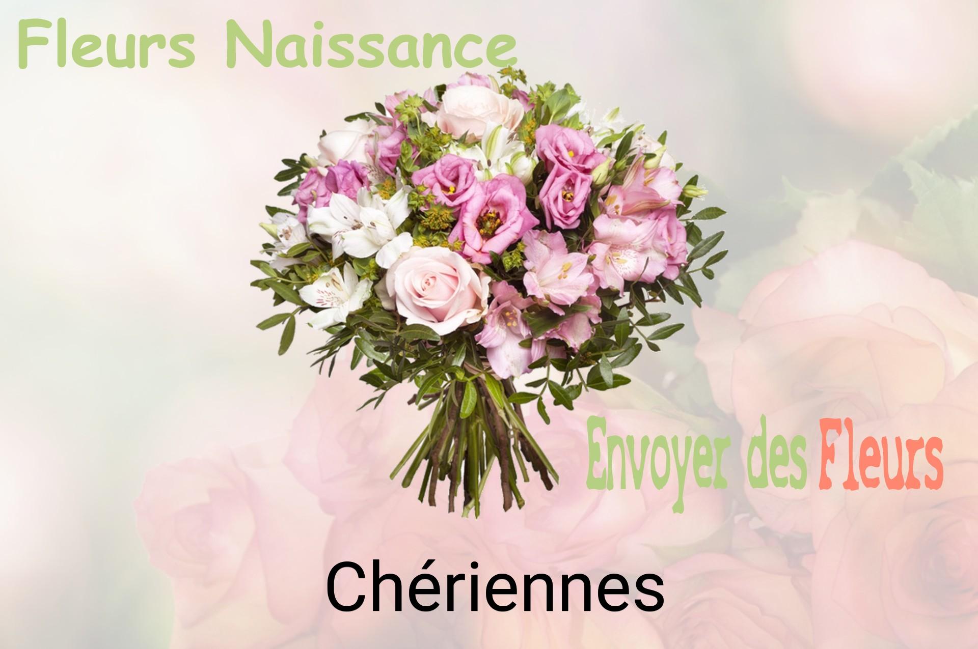 Bouquet de fleurs de naissance livré à Chériennes